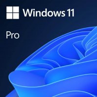 Купить Microsoft Windows 11 Pro (CSP, ESD) в интернет-магазине SoftOnline. Купить Microsoft Windows 11 Pro (CSP, ESD) в интернет-магазине SoftOnline.